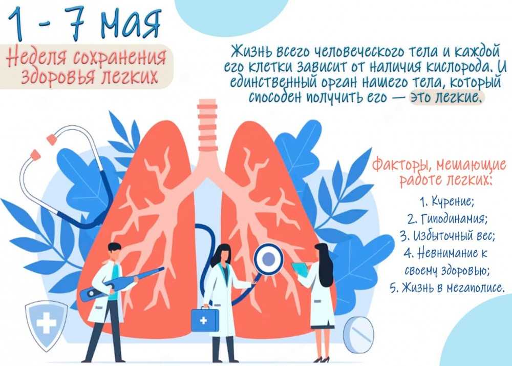 Практические советы по сохранению государственного номера на 2023 год